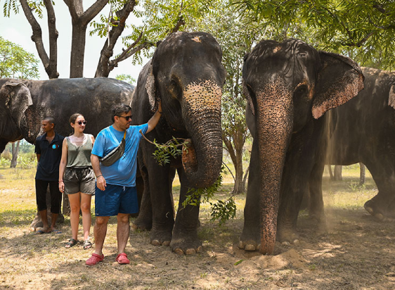 Hathi Gaon Elephant Village
