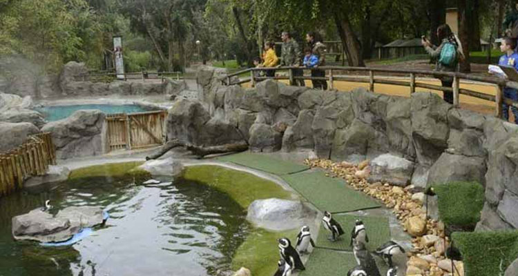 Jaipur Zoo Garden – Timings, Entry & Tickets Prices, and Things to See