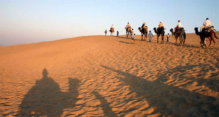 Rajasthan Tour by Car and Driver